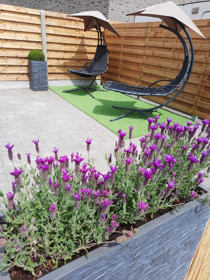 Guesthouse 66 Lommel Dış mekan fotoğraf
